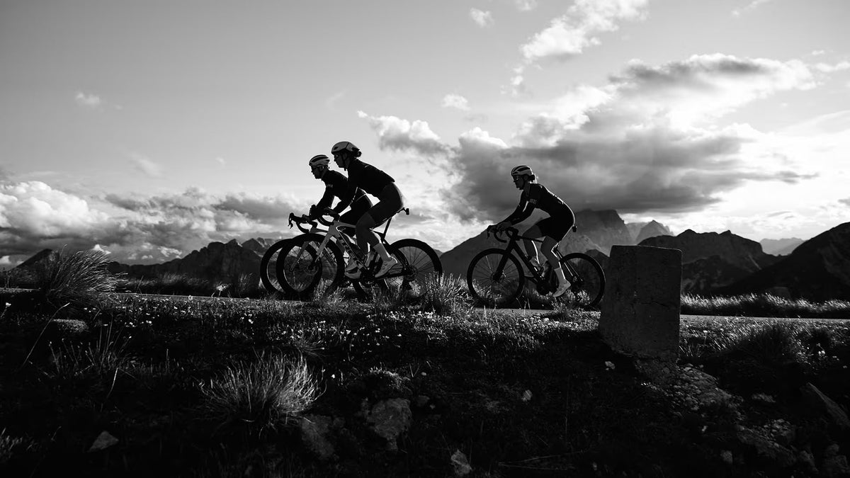 BICICLETAS TREK